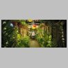 24-12-24---011-Arabian Garden.jpg